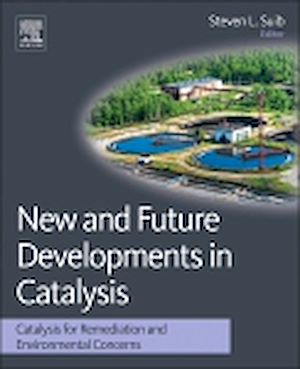 Téléchargez le livre :  New and Future Developments in Catalysis