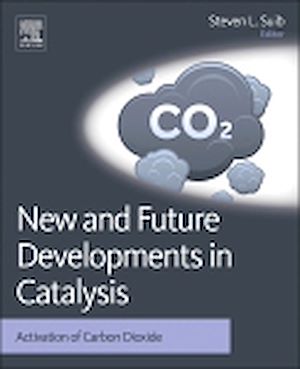 Téléchargez le livre :  New and Future Developments in Catalysis