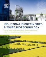 Télécharger le livre :  Industrial Biorefineries and White Biotechnology