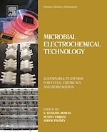 Télécharger le livre :  Biomass, Biofuels, Biochemicals