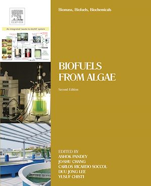 Téléchargez le livre :  Biomass, Biofuels, Biochemicals