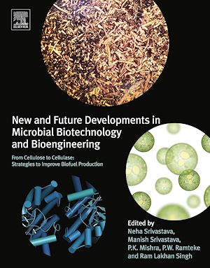 Téléchargez le livre :  New and Future Developments in Microbial Biotechnology and Bioengineering