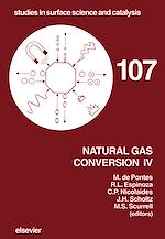 Télécharger le livre :  Natural Gas Conversion IV