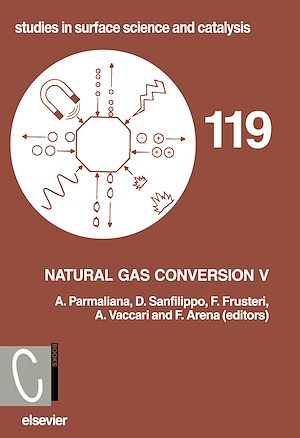 Download the eBook: Natural Gas Conversion V