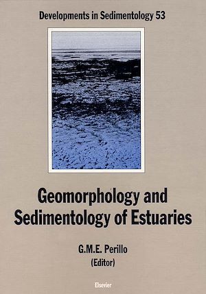 Download the eBook: Geomorphology and Sedimentology of Estuaries