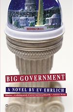 Télécharger le livre :  Big Government