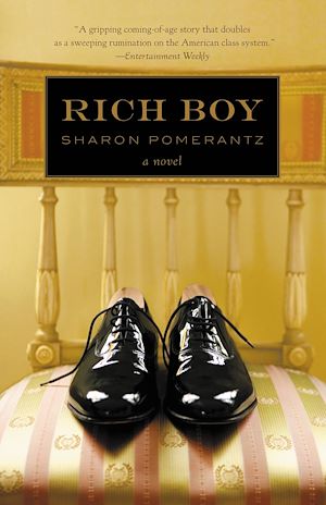 Téléchargez le livre :  Rich Boy