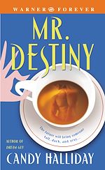 Download this eBook Mr. Destiny