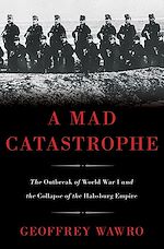 Télécharger le livre :  A Mad Catastrophe