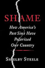 Download this eBook Shame