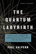 Télécharger le livre :  The Quantum Labyrinth