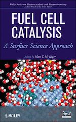 Download this eBook Fuel Cell Catalysis