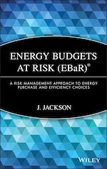 Télécharger le livre :  Energy Budgets at Risk (EBaR)