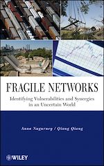 Télécharger le livre :  Fragile Networks