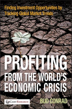 Téléchargez le livre :  Profiting from the World's Economic Crisis