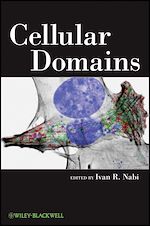 Télécharger le livre :  Cellular Domains