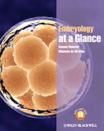 Télécharger le livre :  Embryology at a Glance