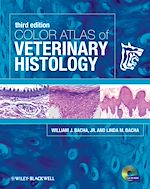 Télécharger le livre :  Color Atlas of Veterinary Histology