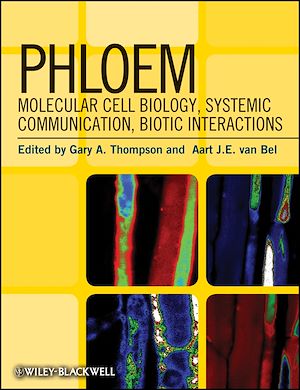 Téléchargez le livre :  Phloem