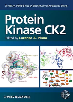 Téléchargez le livre :  Protein Kinase CK2