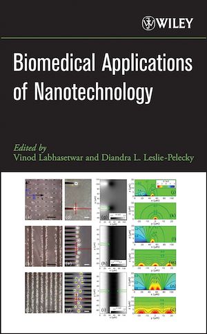 Download the eBook: Biomedical Applications of Nanotechnology