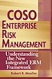 Télécharger le livre :  COSO Enterprise Risk Management