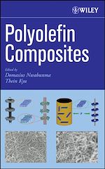 Download this eBook Polyolefin Composites