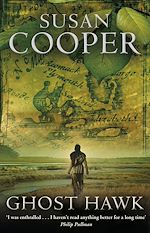 Télécharger le livre :  Ghost Hawk