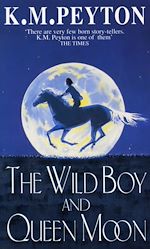 Télécharger le livre :  The Wild Boy And Queen Moon