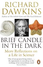 Télécharger le livre :  Brief Candle in the Dark