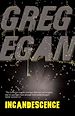 Télécharger le livre :  Incandescence