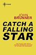 Télécharger le livre :  Catch a Falling Star