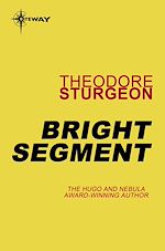 Télécharger le livre :  Bright Segment