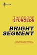 Télécharger le livre :  Bright Segment