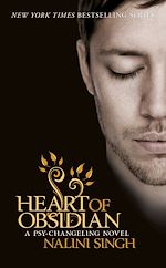 Télécharger le livre :  Heart of Obsidian