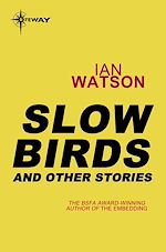 Télécharger le livre :  Slow Birds: And Other Stories