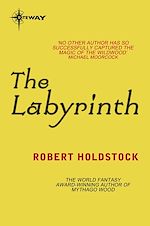 Télécharger le livre :  The Labyrinth