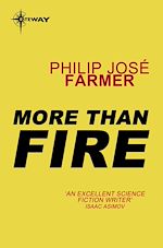 Télécharger le livre :  More Than Fire