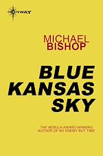 Télécharger le livre :  Blue Kansas Sky