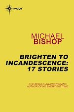 Télécharger le livre :  Brighten to Incandescence: 17 Stories