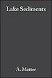 Télécharger le livre :  Modern and Ancient Lake Sediments