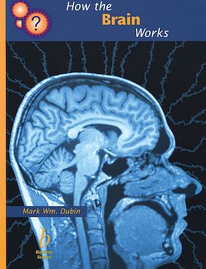 Download the eBook: How the Brain Works