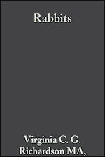 Télécharger le livre :  Rabbits