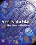 Télécharger le livre :  Fossils at a Glance