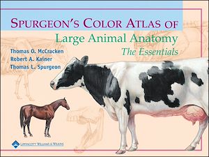 Download the eBook: Spurgeon's Color Atlas of Large Animal Anatomy