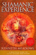 Télécharger le livre :  Shamanic Experience