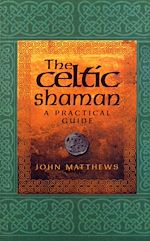 Télécharger le livre :  The Celtic Shaman
