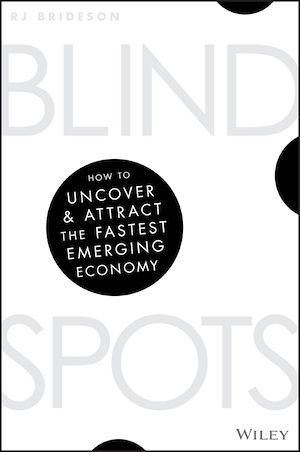 Téléchargez le livre :  Blind Spots