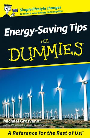 Download the eBook: Energy-Saving Tips For Dummies