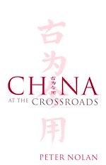 Télécharger le livre :  China at the Crossroads
